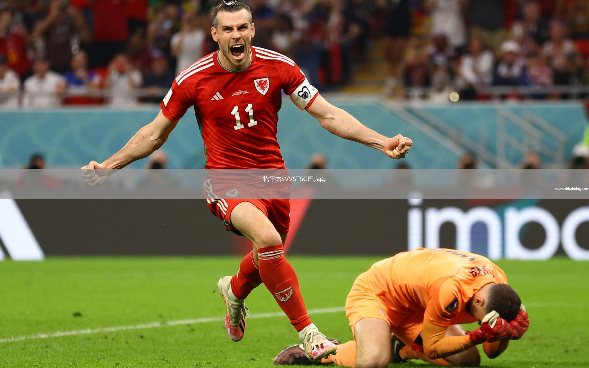 格平杰SVVSTSG巴克南