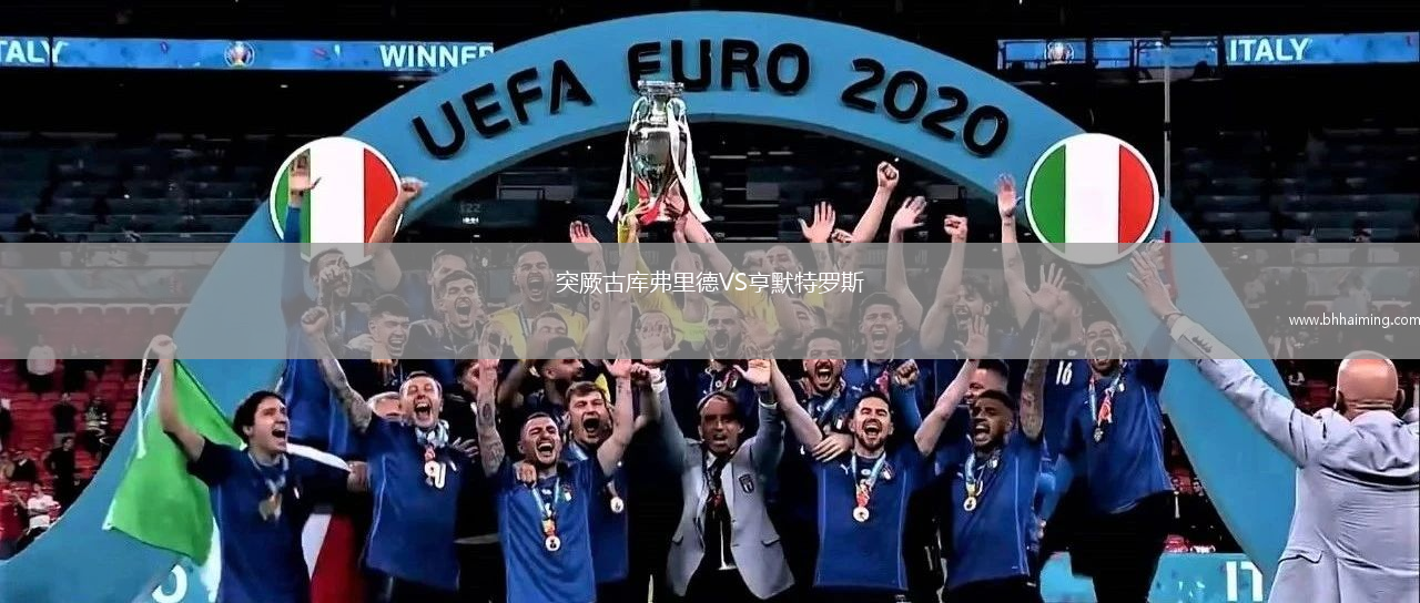 突厥古庫弗里德VS亨默特羅斯