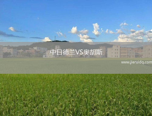 哈登堡VS格爾德恩