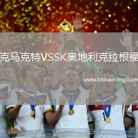 克馬克特VSSK奧地利克拉根福