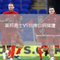 富邦勇士VS臺(tái)南臺(tái)鋼獵鷹