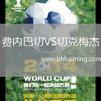 費(fèi)內(nèi)巴切VS切克梅杰