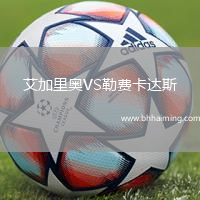 艾加里奧VS勒費(fèi)卡達(dá)斯