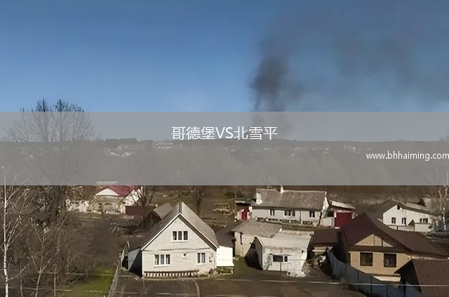 哥德堡VS北雪平