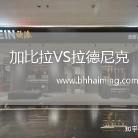 加比拉VS拉德尼克