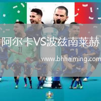 阿爾卡VS波茲南萊赫