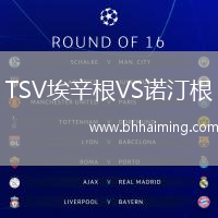 TSV埃辛根VS諾汀根