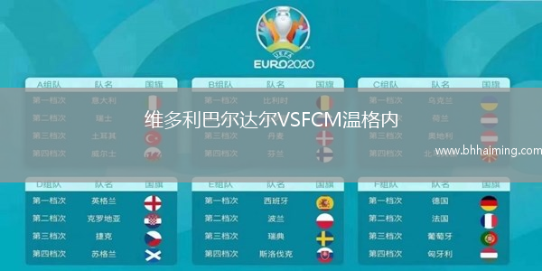 維多利巴爾達爾VSFCM溫格內